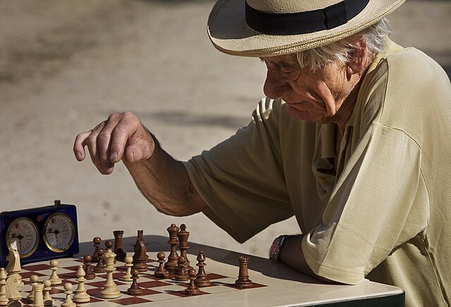 u333-Paris_-_Playing_chess_at_the_Jardins_du_Luxembourg_-_2966
