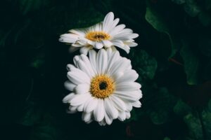 u333-andi-rieger-vfEqA8sKe6A-unsplash
