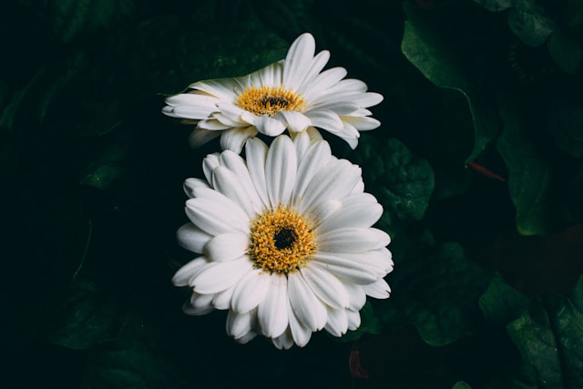 u333-andi-rieger-vfEqA8sKe6A-unsplash