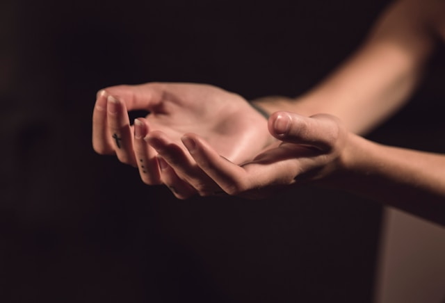 u333-milada-vigerova-iQWvVYMtv1k-unsplash