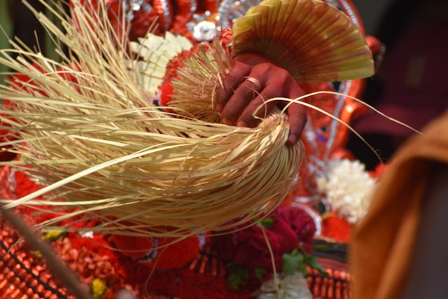 u346-dhanasree-s-kumar-qKvkpKxRvqw-unsplash