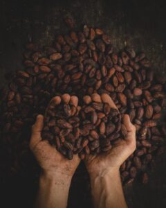 u346-pablo-merchan-montes-SCbq6uKCyMY-unsplash