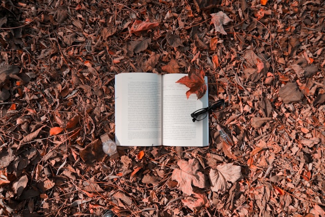 u349-sibel-yildirim-J6YInqMXD6c-unsplash