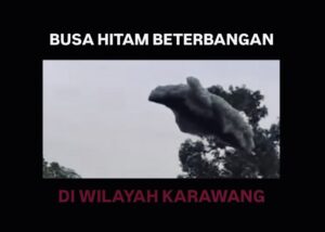 u232-FE0A2309-7A0E-4F78-8DBB-C56499D66D7F