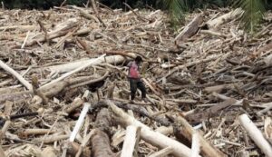 u270-Image-30-11-25-at-18.05