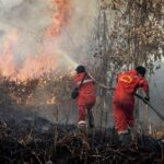 u377-F3552D57-1823-449C-B1F8-CD13A5C33961